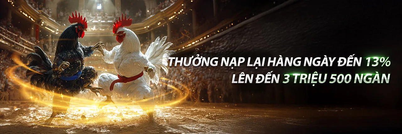 Sân vận động bóng đá đầy phấn khích với logo vty05 casino